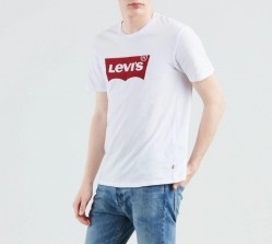 Batwing Logo Graphic T-Shirt - White